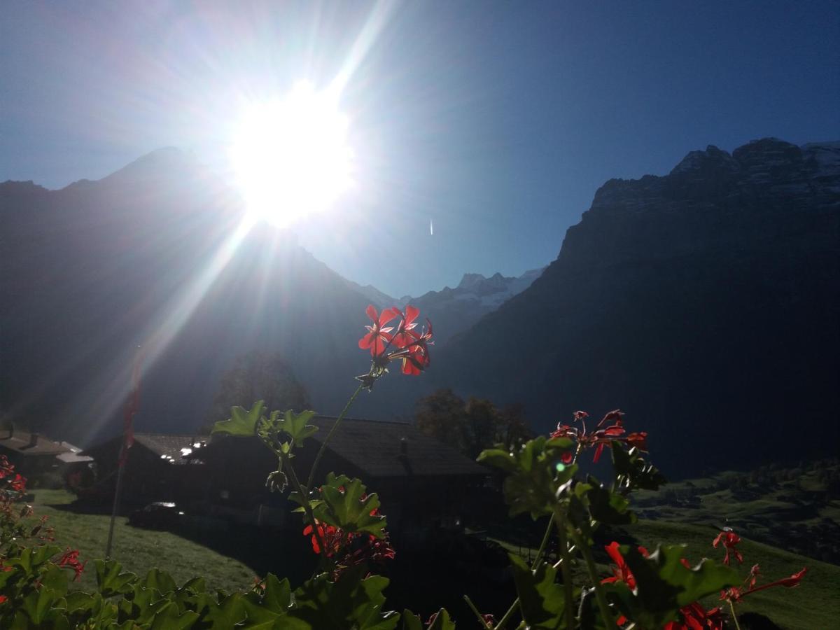 Chalet Uf Em Stutz 2 Apartment Grindelwald Exterior photo