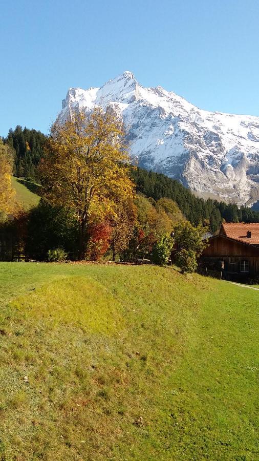 Chalet Uf Em Stutz 2 Apartment Grindelwald Exterior photo