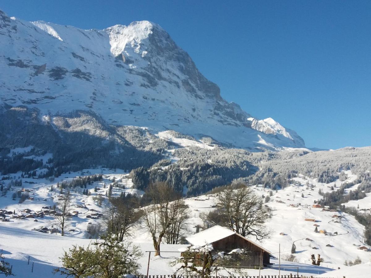 Chalet Uf Em Stutz 2 Apartment Grindelwald Exterior photo